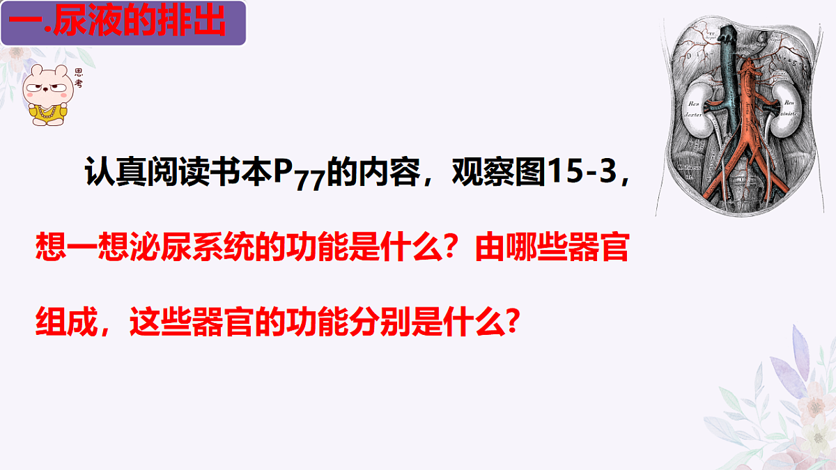 17755216第4页
