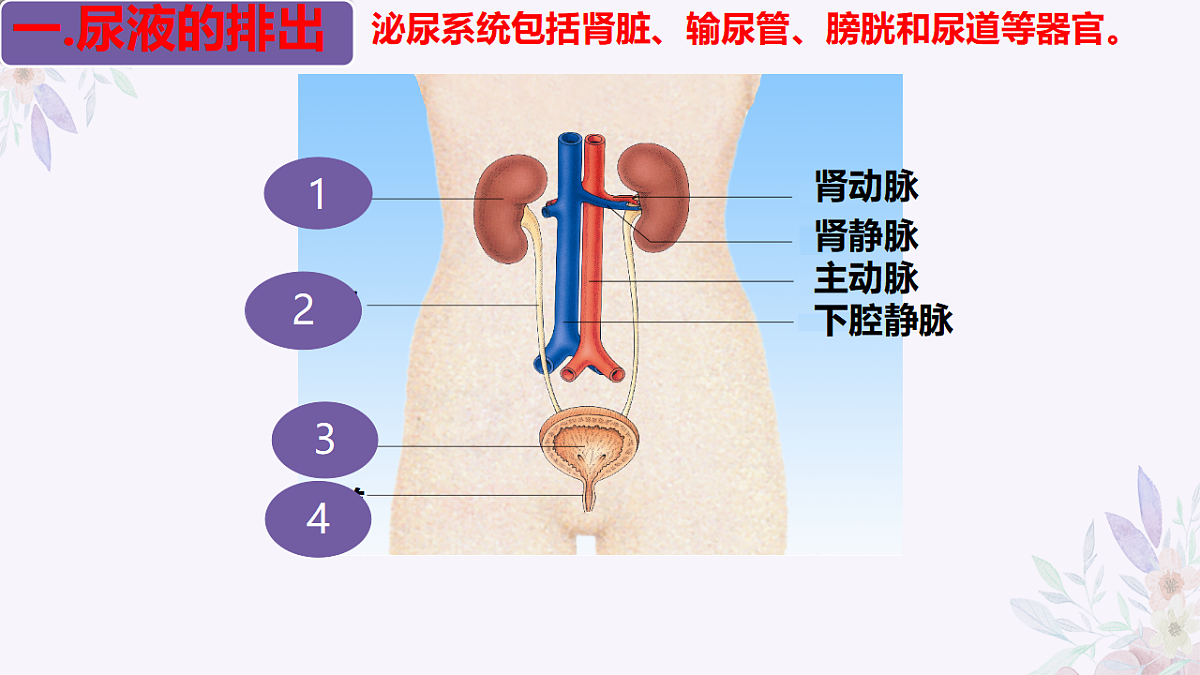 17755216第5页