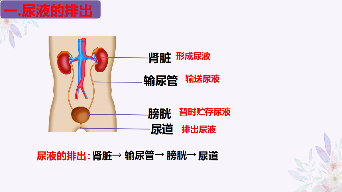 17755216第6页