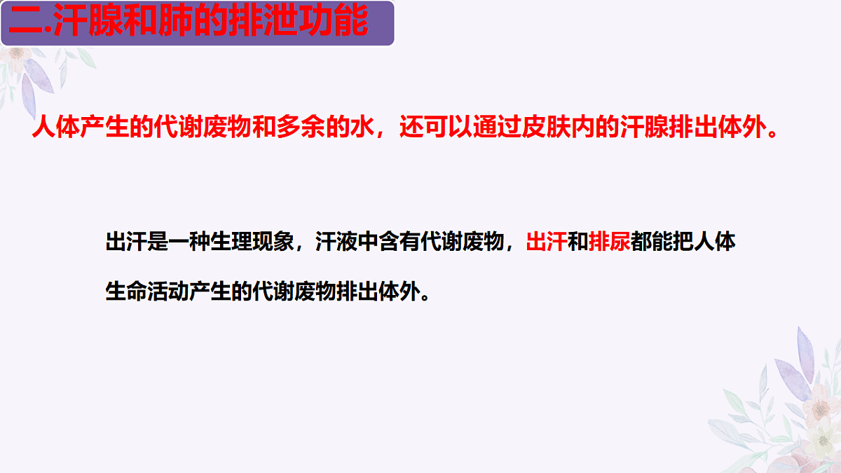 17755216第8页