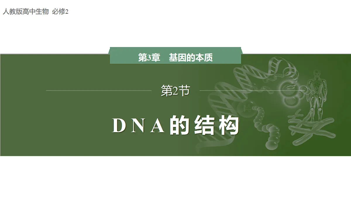 17755230第1页