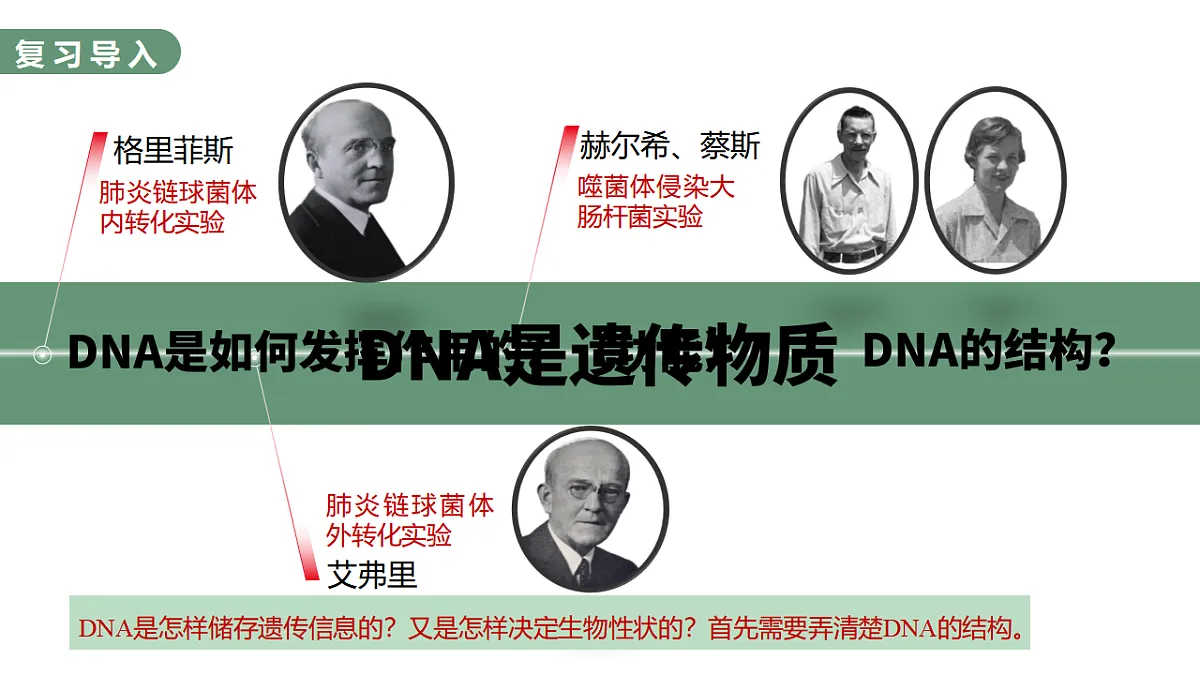 17755230第3页
