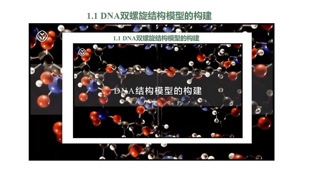 17755230第5页