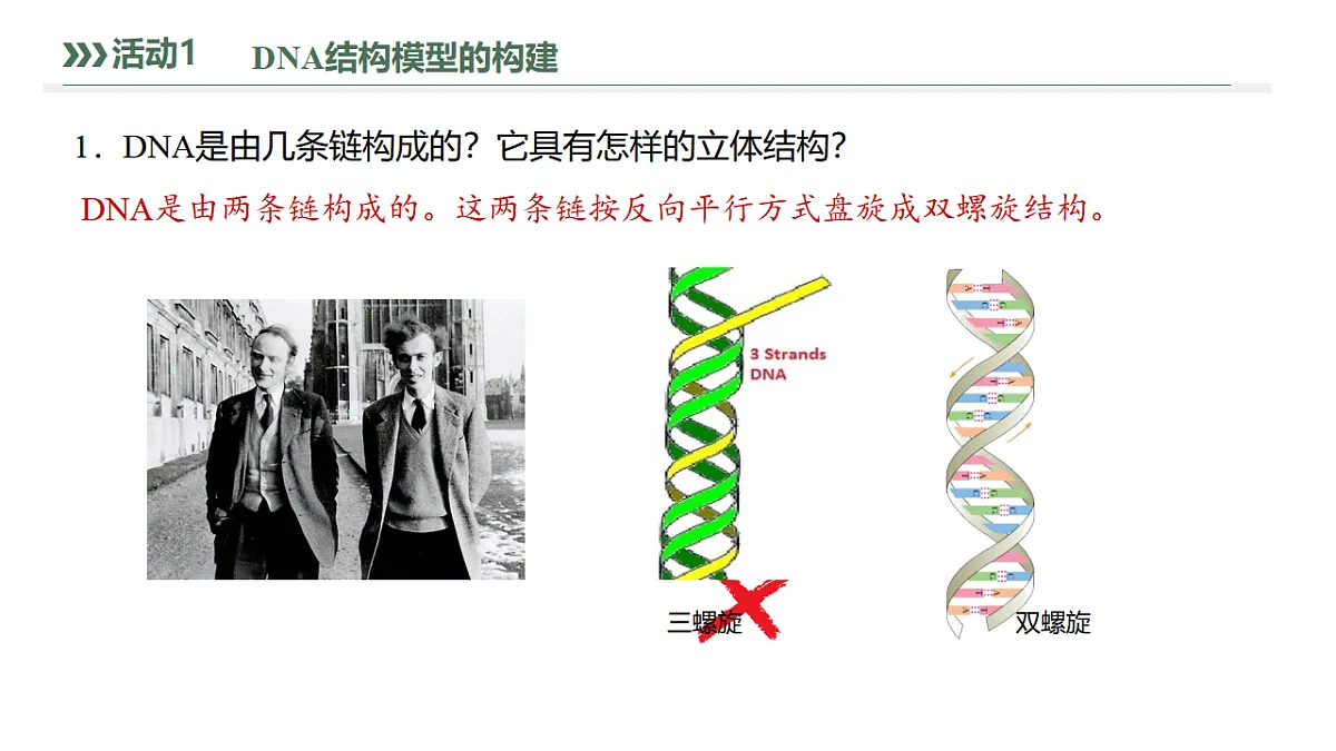 17755230第6页