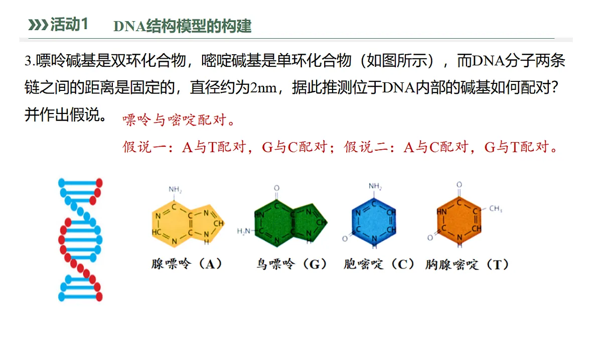 17755230第8页