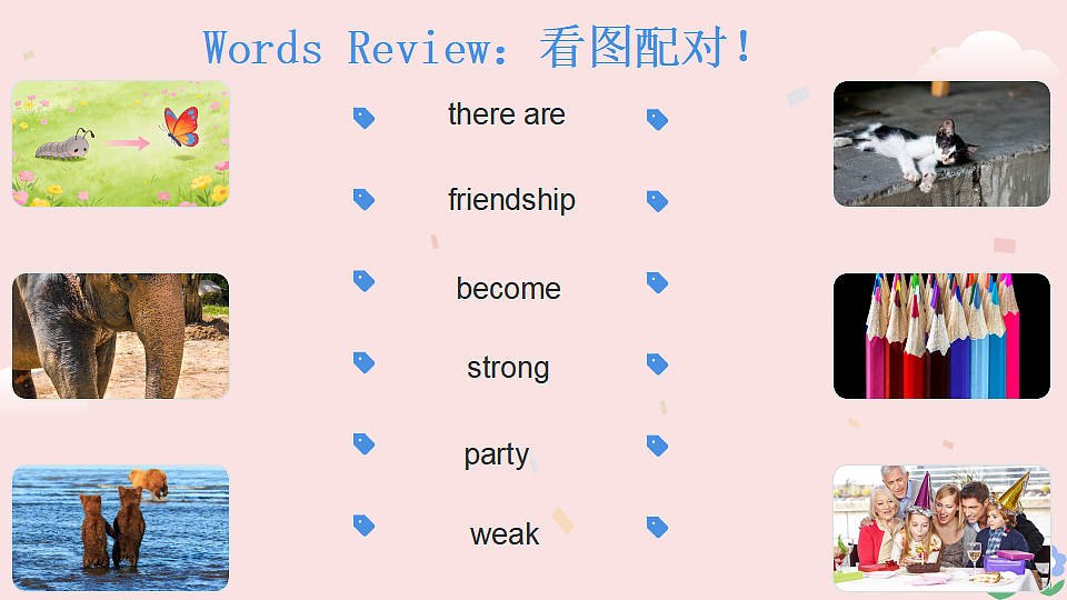 17755879第3页