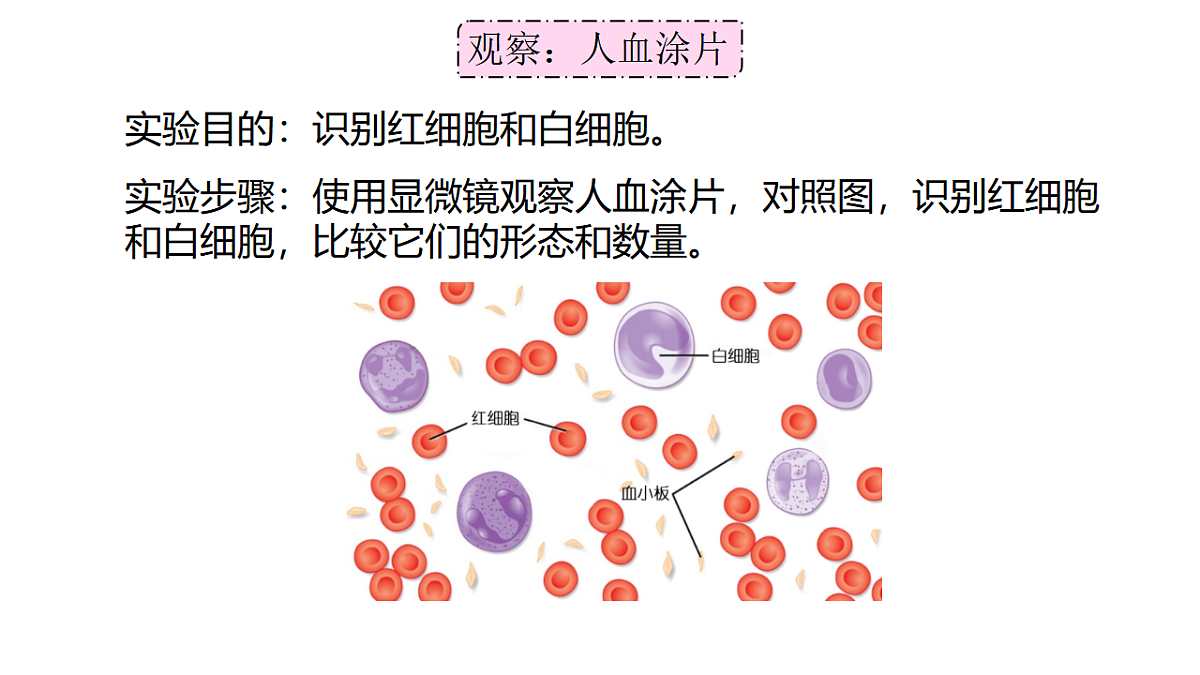 17756997第6页