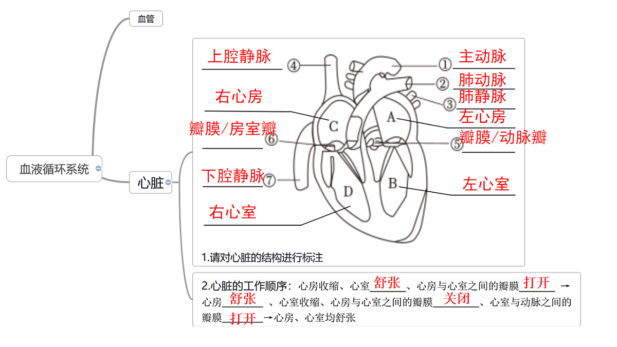 17756998第2页