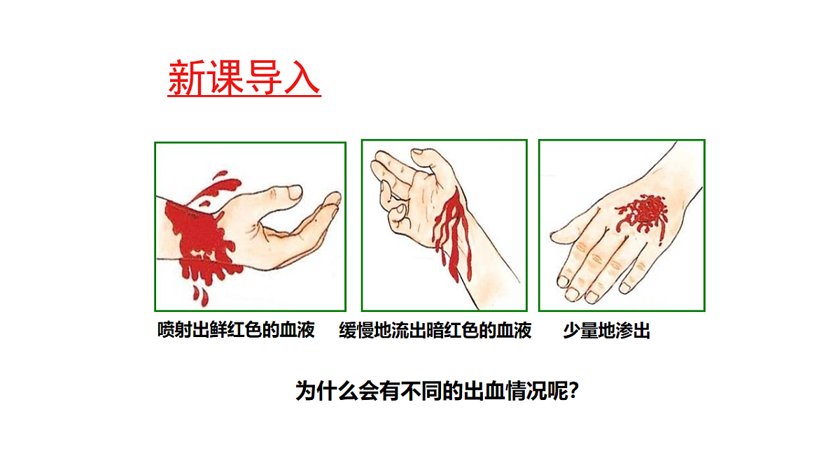17756998第3页