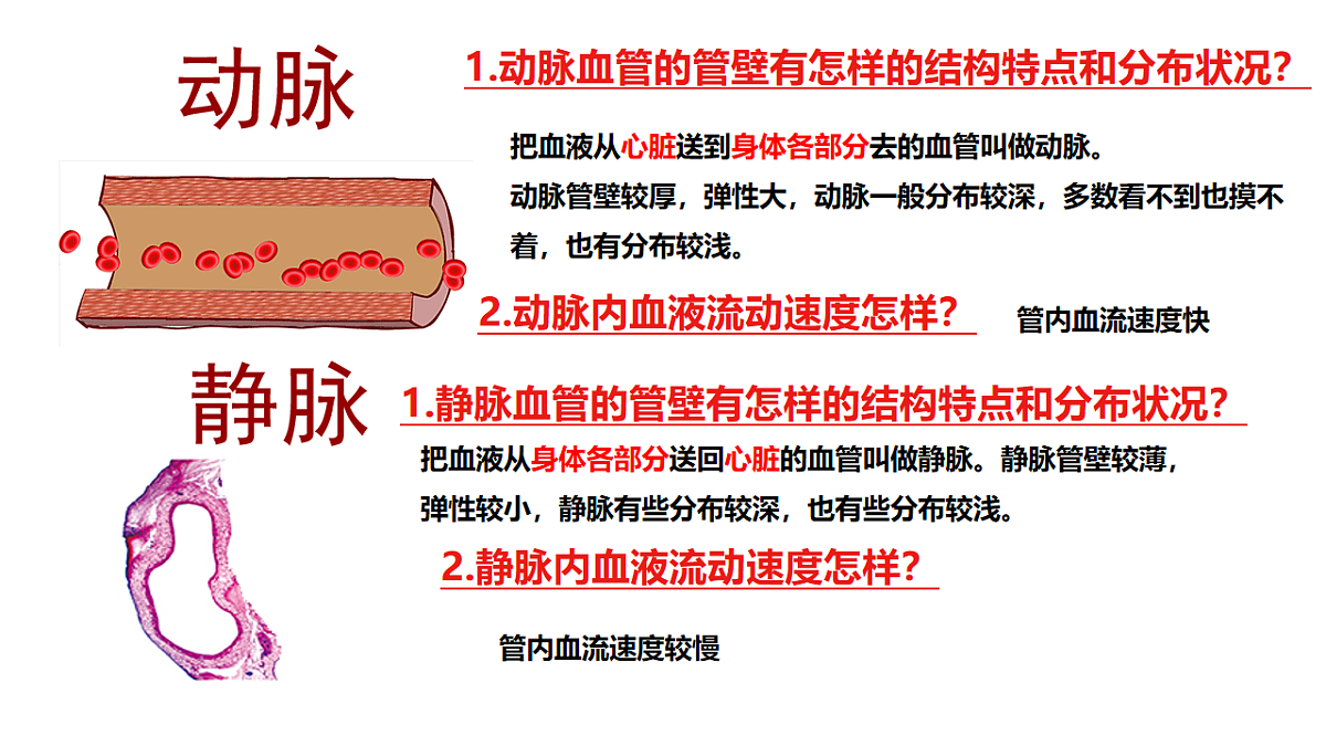 17756998第5页