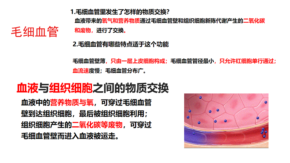 17756998第6页