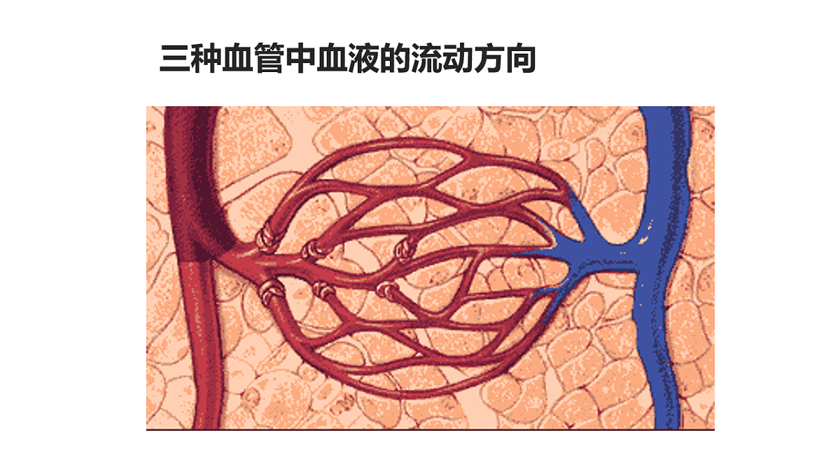 17756998第7页