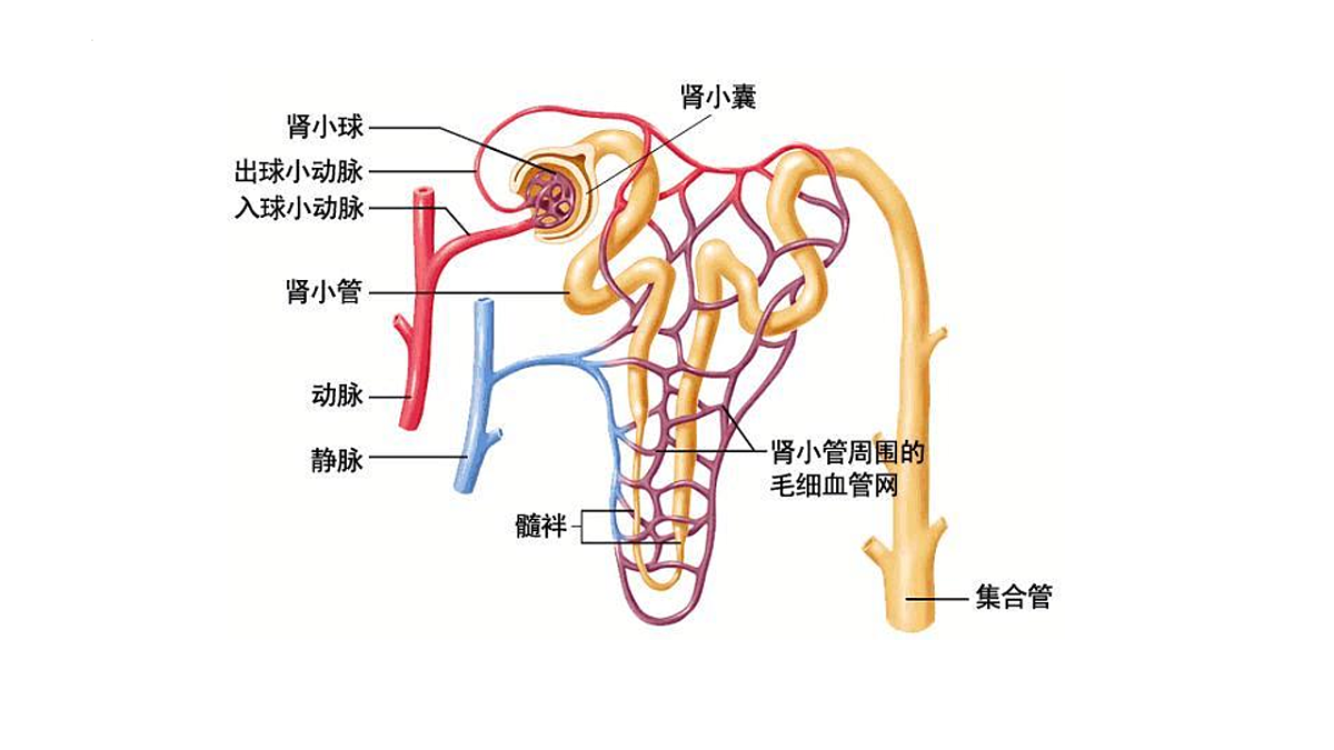 17757018第5页