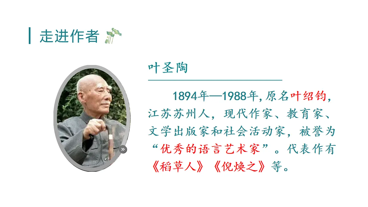 （教学课件）3 荷花第4页