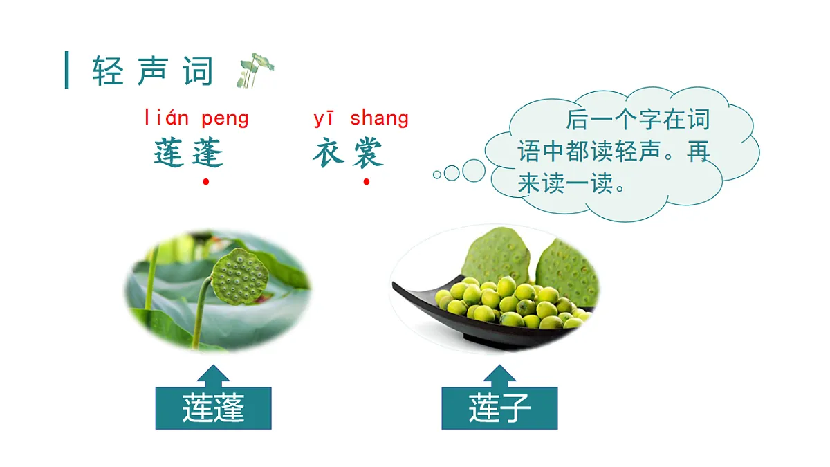 （教学课件）3 荷花第7页