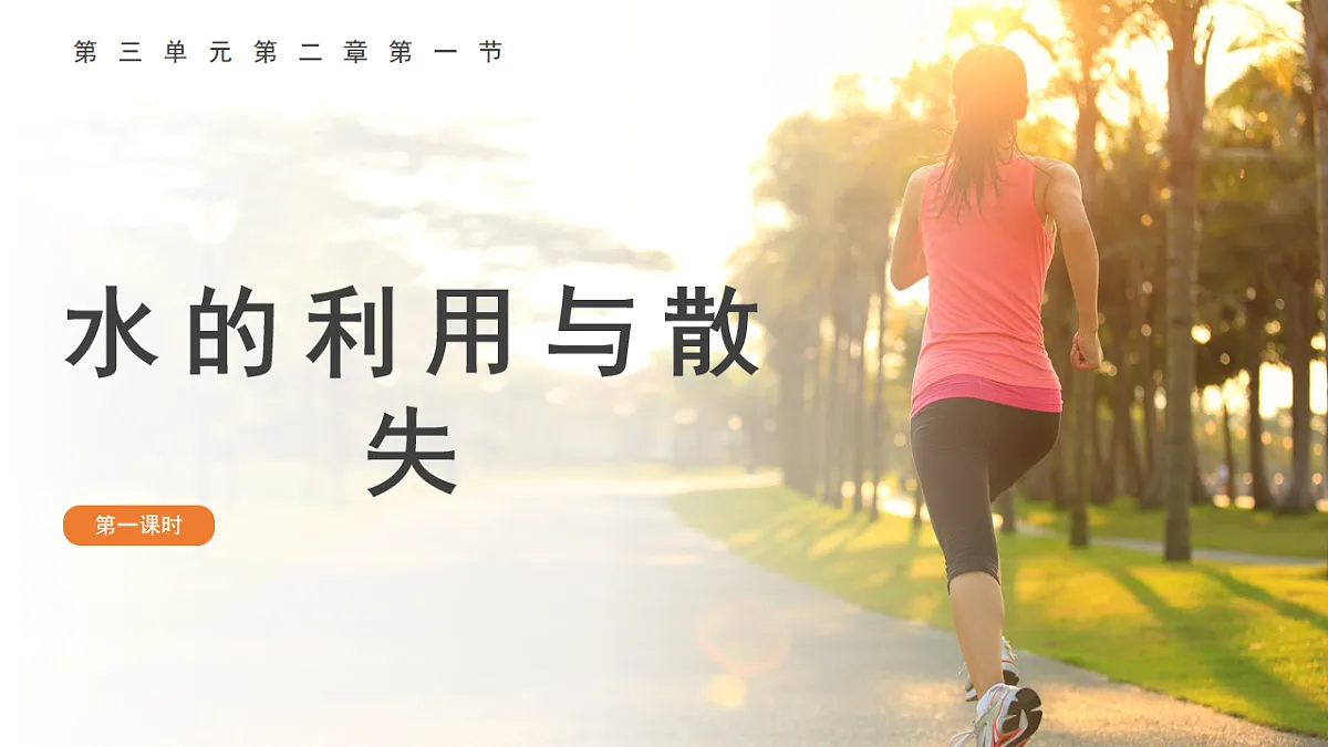 17757069第1页