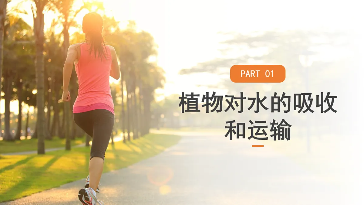 17757069第5页