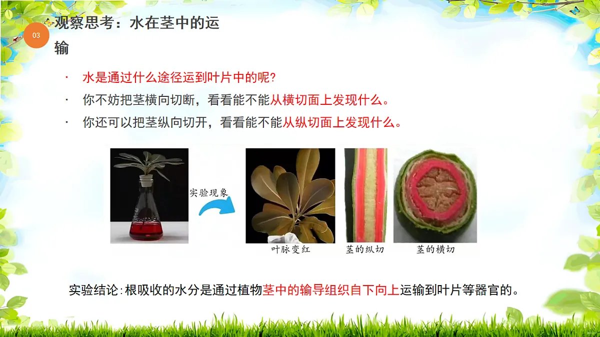 17757069第8页
