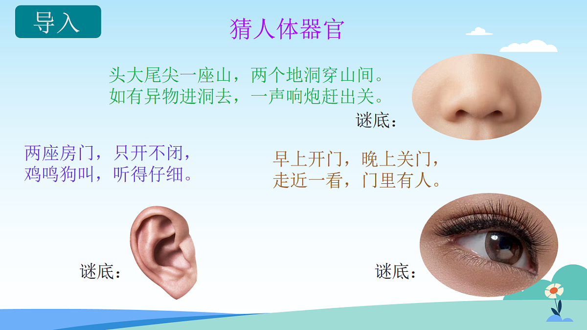 教科版科学一上2.5《通过感官来发现》课件+教案第2页