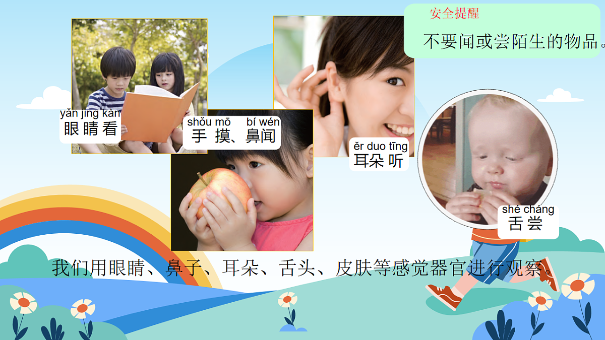 教科版科学一上2.5《通过感官来发现》课件+教案第3页