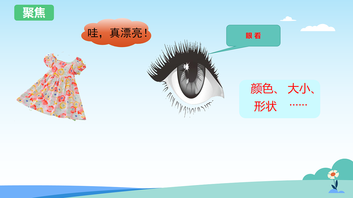 教科版科学一上2.5《通过感官来发现》课件+教案第6页