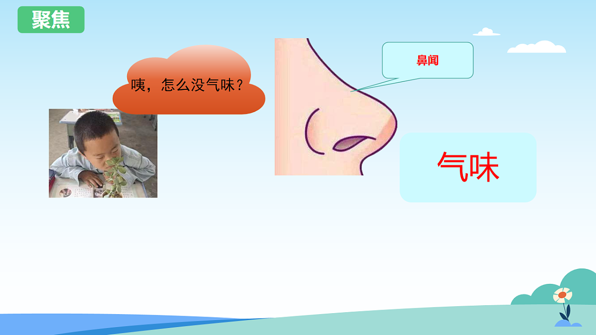 教科版科学一上2.5《通过感官来发现》课件+教案第7页