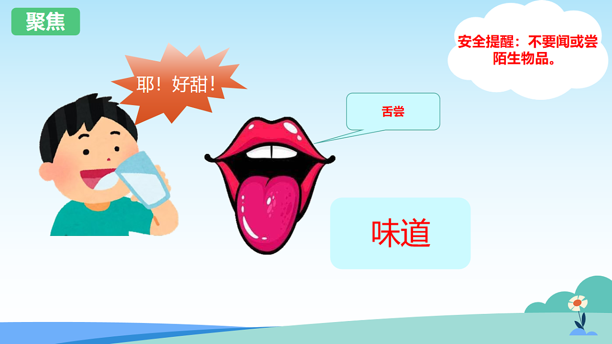 教科版科学一上2.5《通过感官来发现》课件+教案第8页