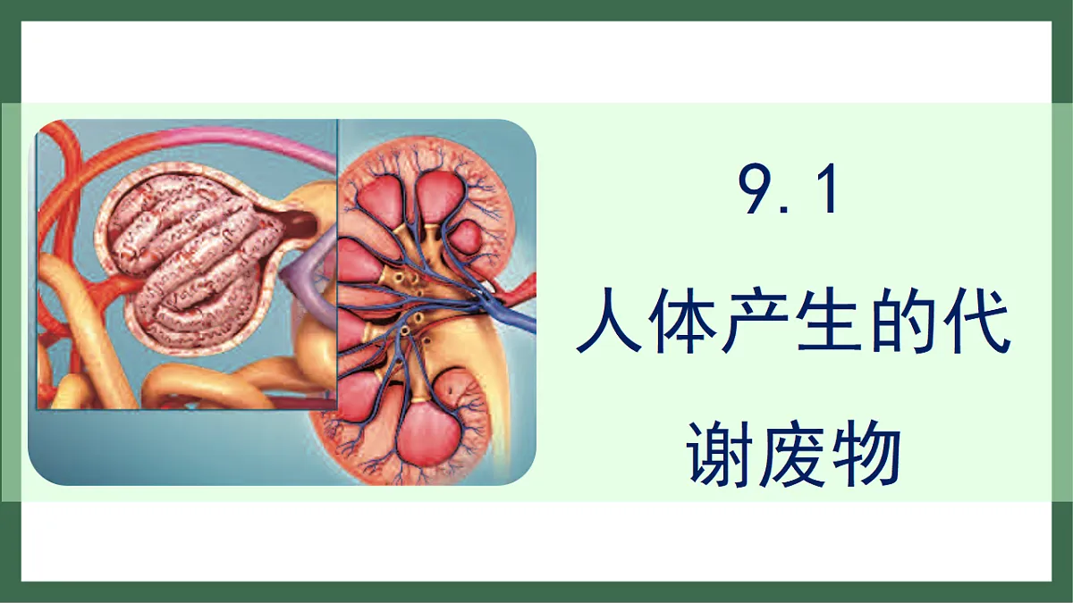 17757422第1页