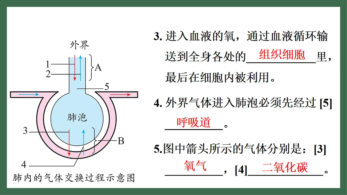 17757422第3页