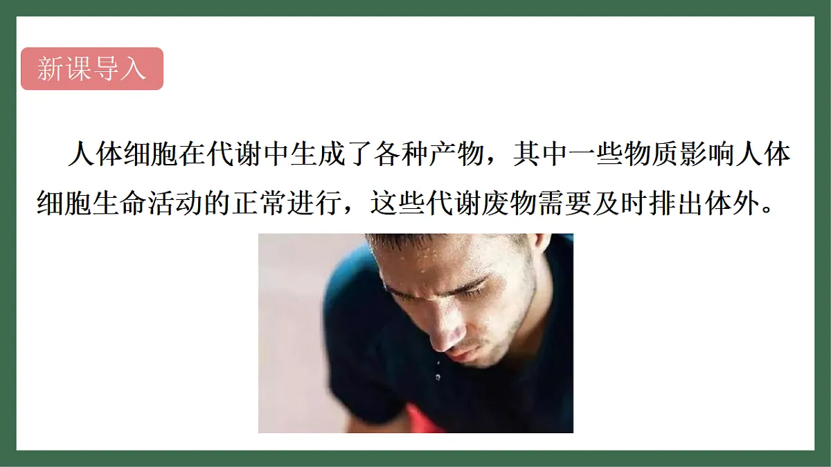 17757422第4页