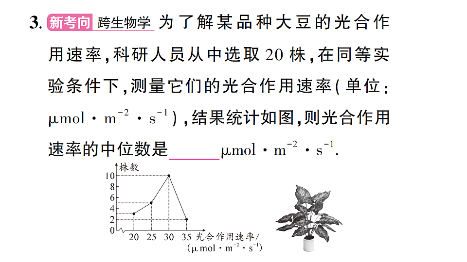 17757451第4页