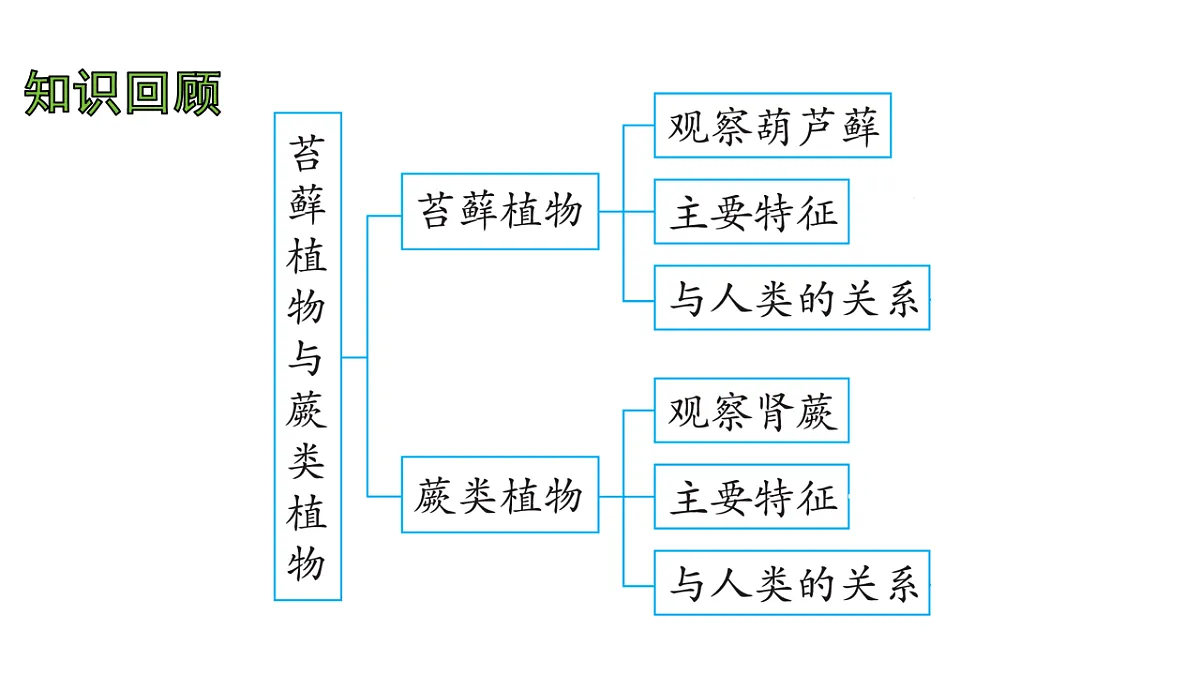 17757564第2页