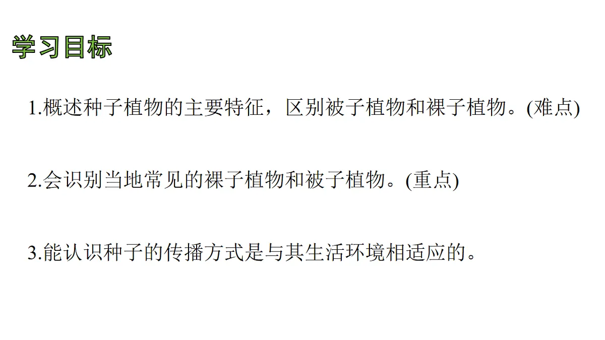 17757564第3页