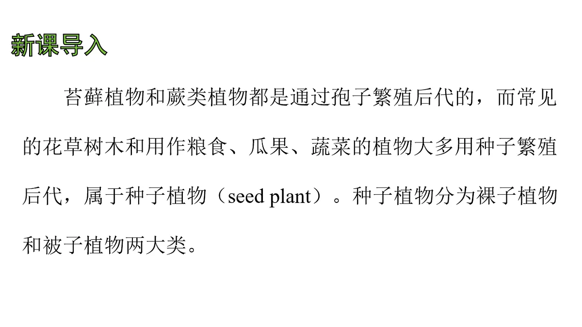 17757564第4页