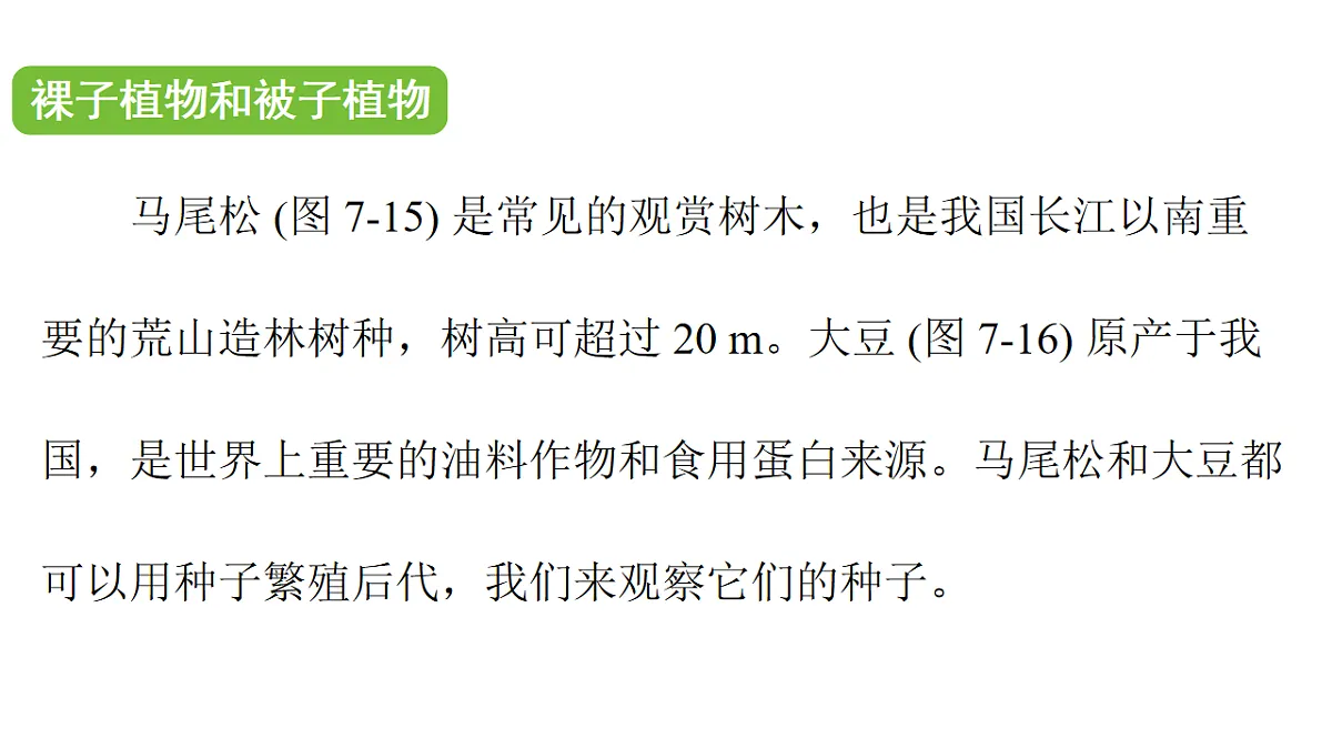 17757564第5页