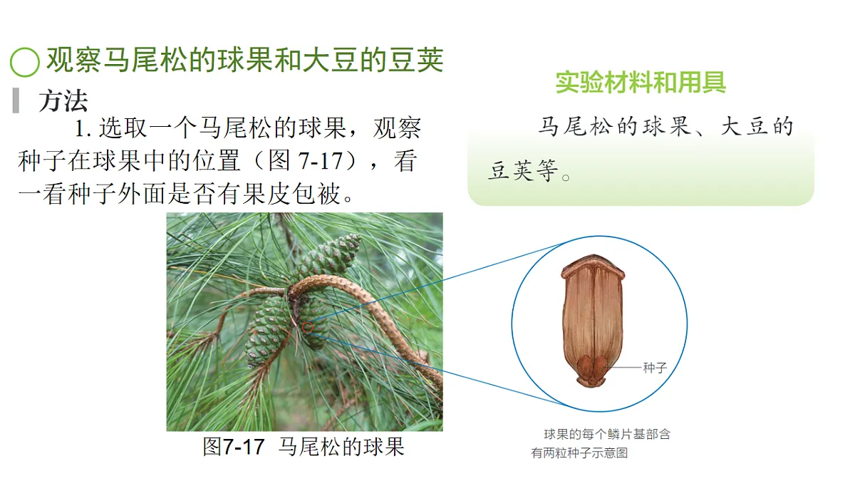 17757564第7页