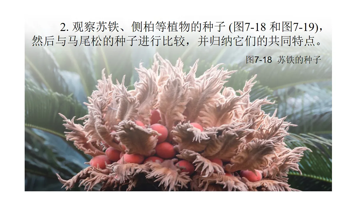17757564第8页