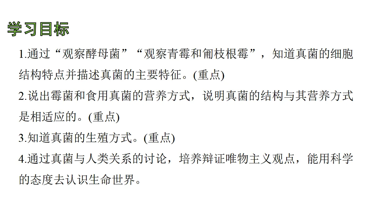 17757568第3页