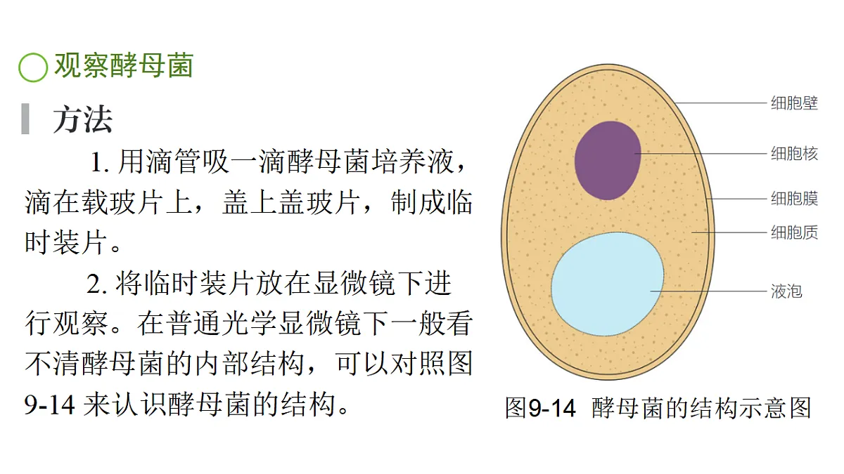 17757568第6页