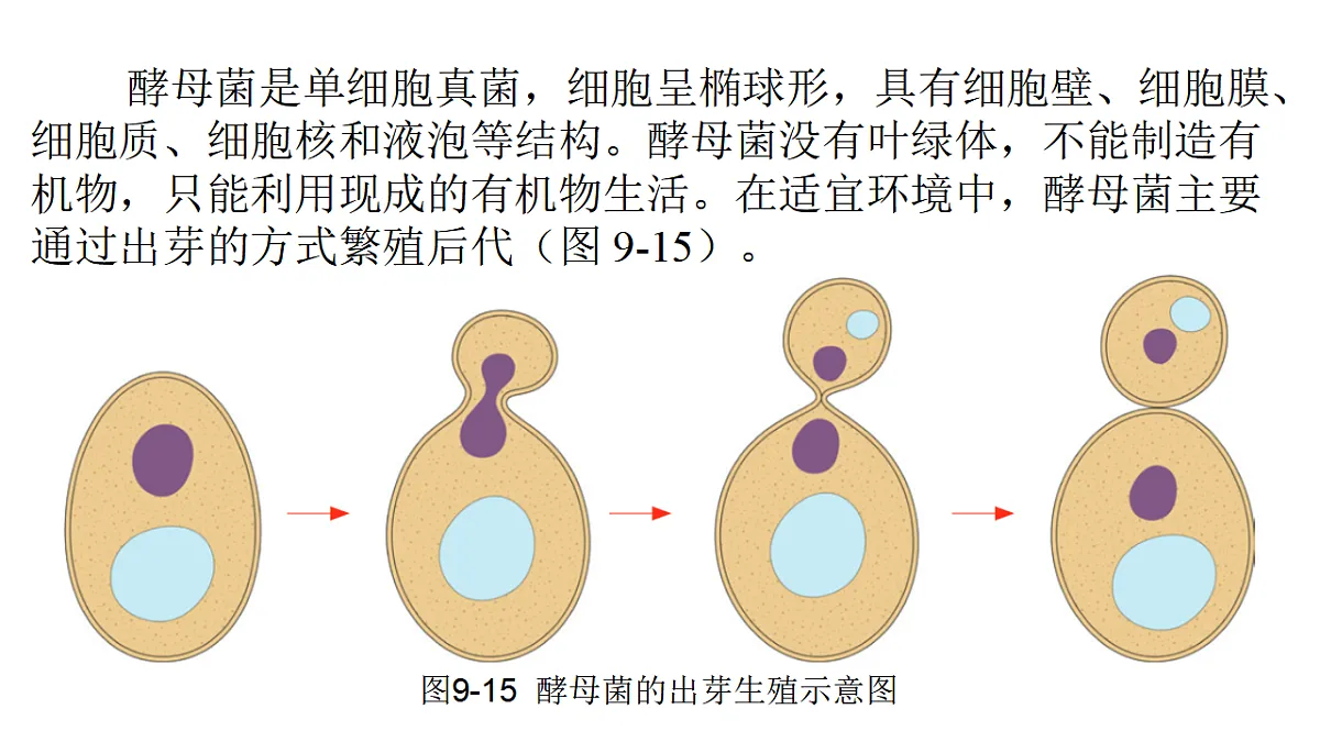 17757568第8页