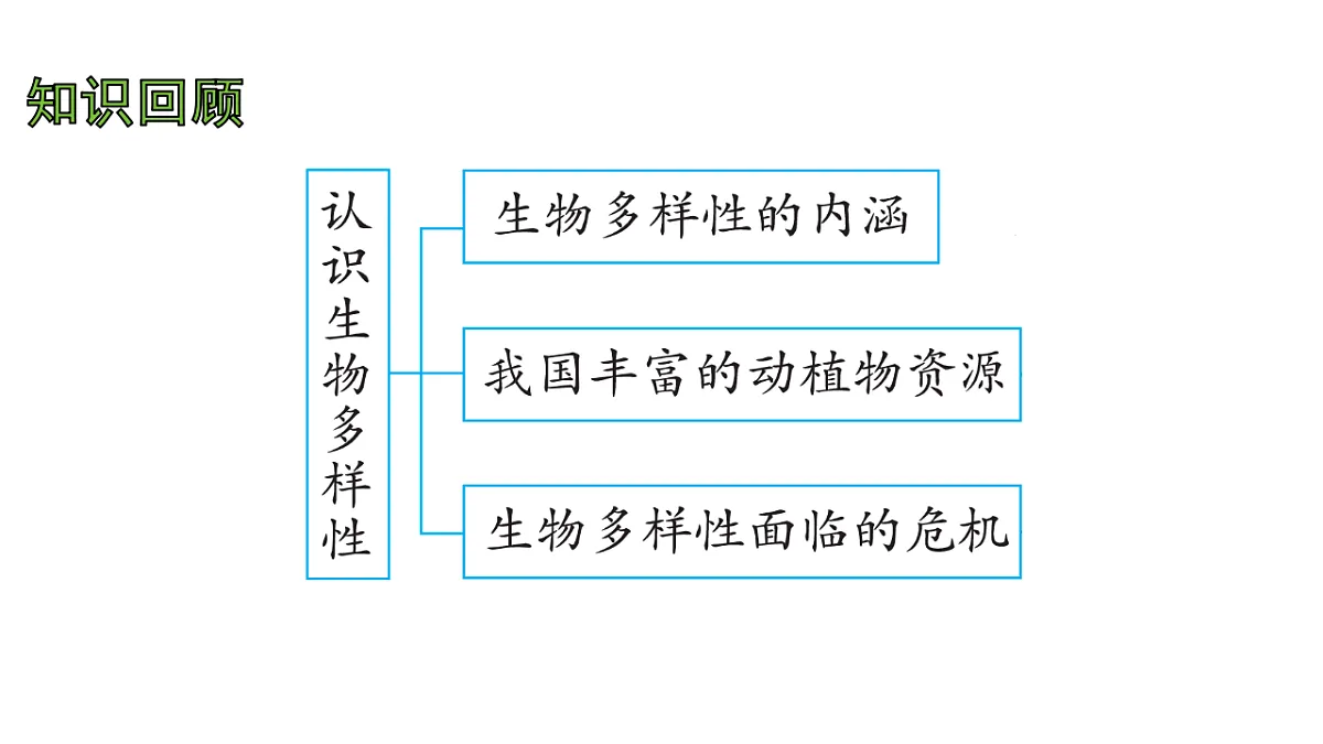17757570第2页