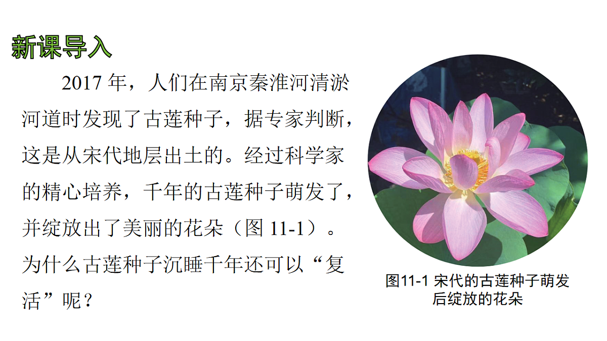17757571第4页