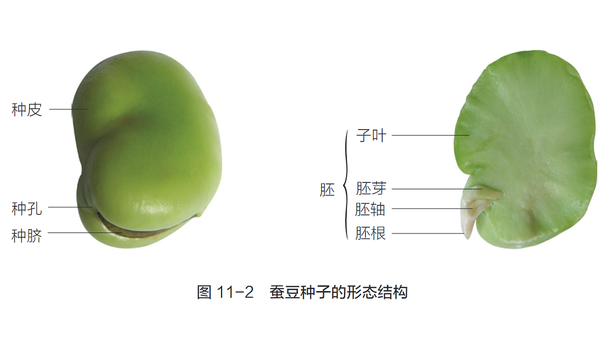 17757571第6页