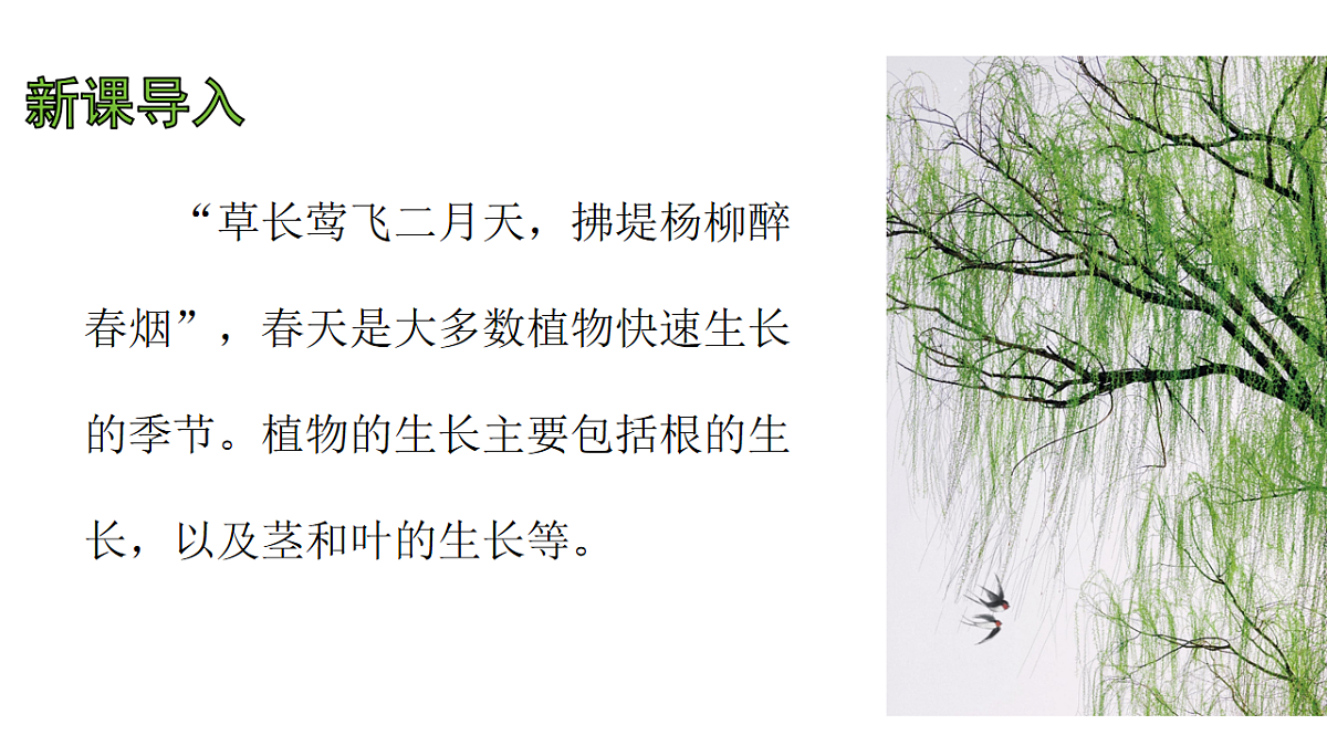 17757572第4页