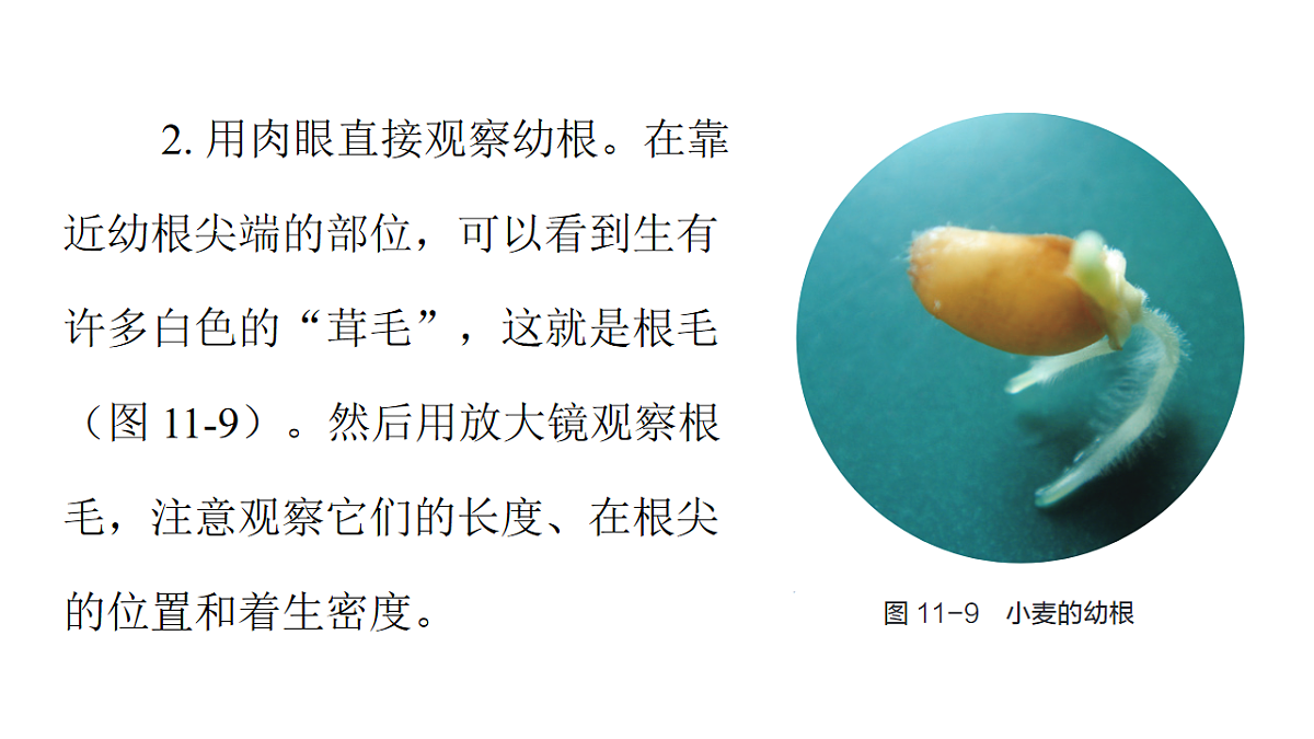 17757572第8页