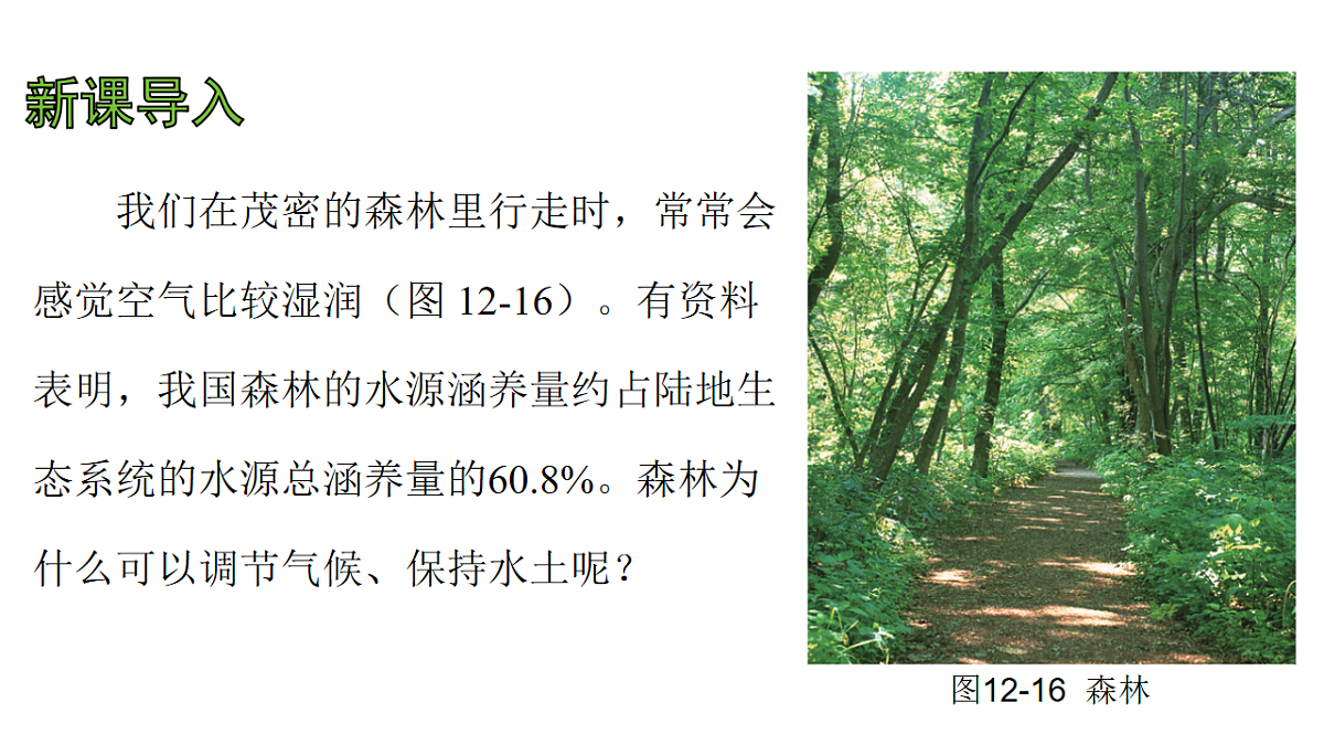 17757576第4页