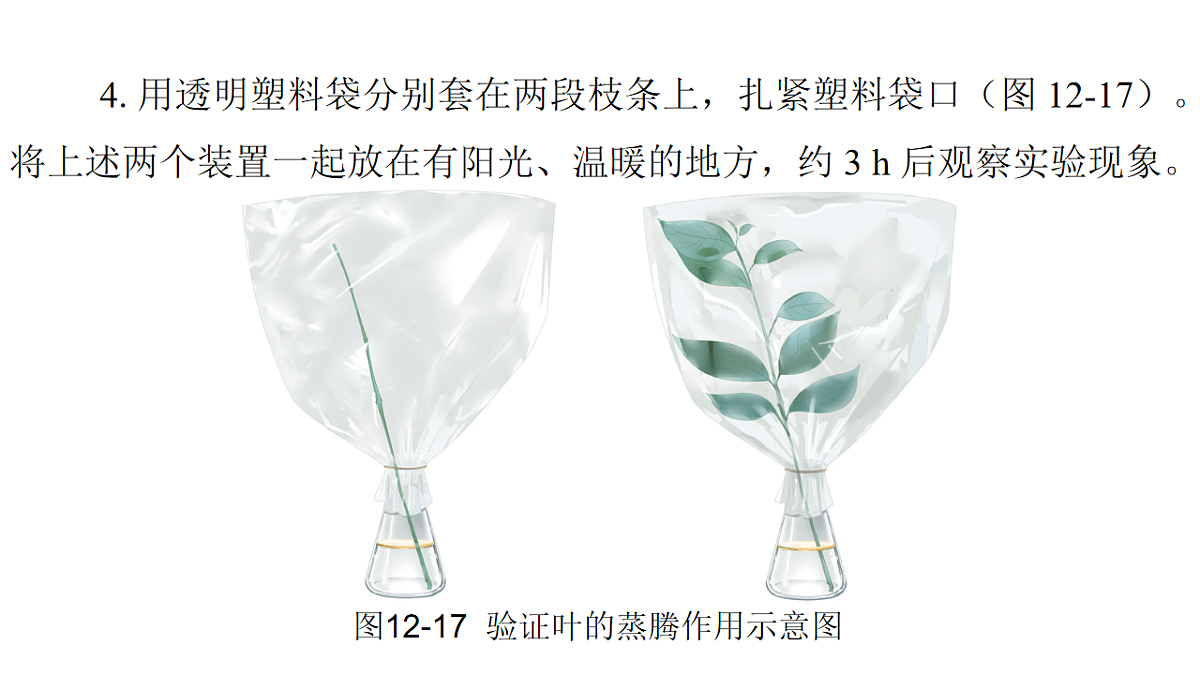 17757576第7页