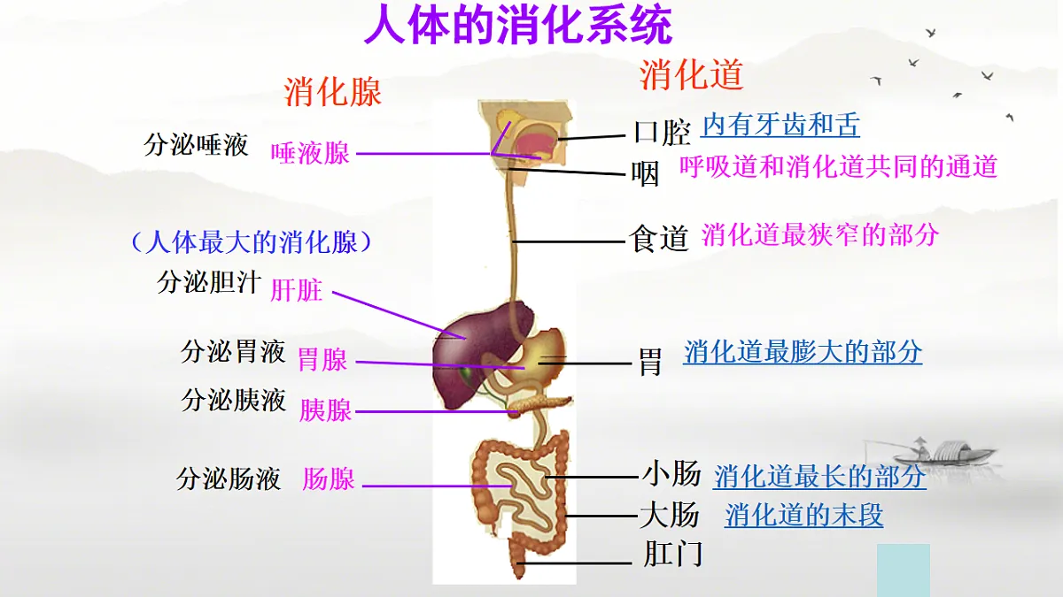 17757642第4页