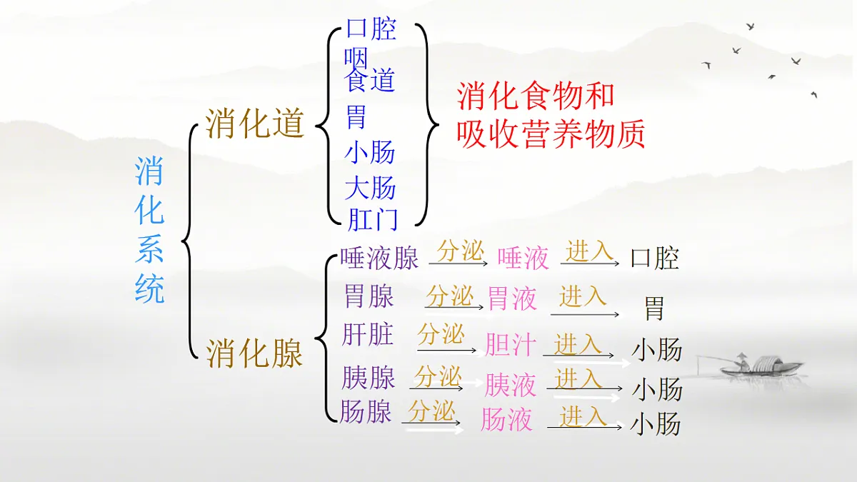 17757642第5页