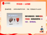 人教部编版道法七下 2.3《品味美好情感》课件+教案
